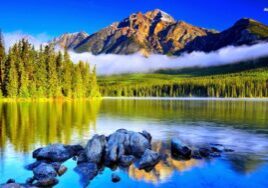 nature
